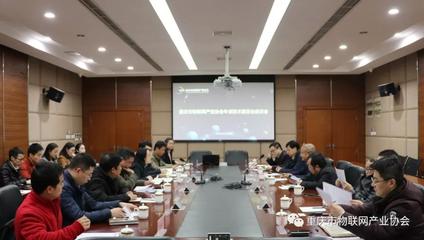 重慶市物聯網產業協會專家技術委員會座談會圓滿舉行，共商信息技術服務新篇章